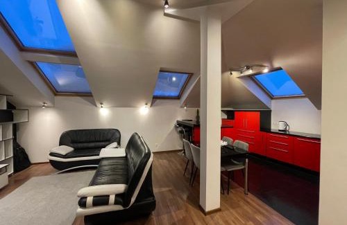 Vilnius city municipality Apartment | Apartamentai prie Seimo