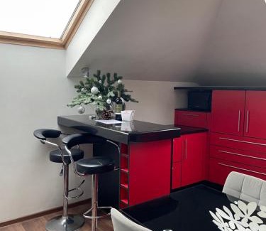 Vilnius city municipality Apartment | Apartamentai prie Seimo