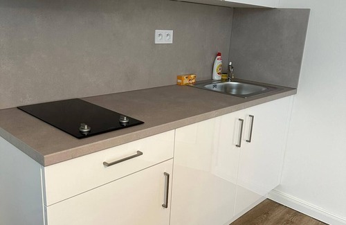 Petrska ctvrt Apartment | Apartamento de 1 Quarto no Centro de Praga a Apenas 200m do Metro de Florence