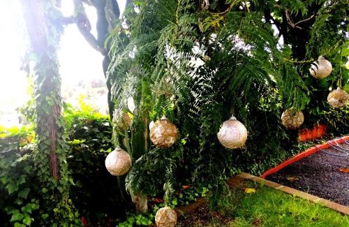 Santa Brigida Apartment | APARTAMENTO LEMMON TREE