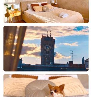 Stare Miasto Apartment | Apartamenty Paryskie Old Town View