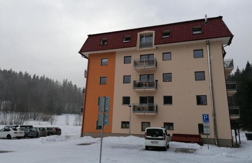 Horni Lipova Apartment | Apartmán 68 Horní Lipová