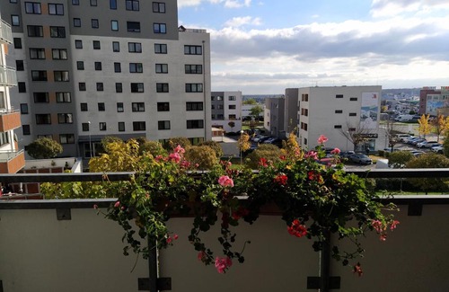 Olomouc Apartment | Apartmán D31