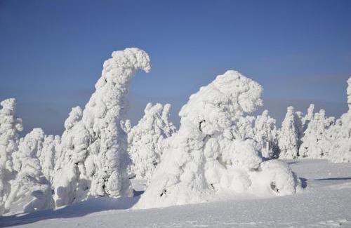 Jesenik Apartment | Apartmán Jeseník