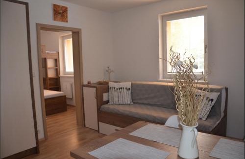 Loucna nad Desnou Apartment | Apartmán Loučná - Špičákovi