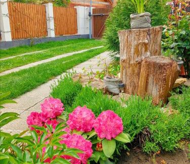 Polepy Apartment | Apartmán Marie