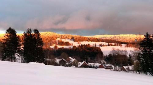 Ricky v Orlickych horach Apartment | Apartmán pod Pustým vrchem