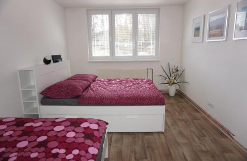 Nove Chalupy Apartment | Apartmán Relax Nová Pec Lipno