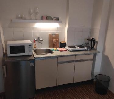 Lazne Kynzvart Apartment | Apartmán U Krtka