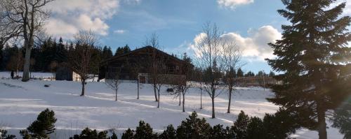 Philippsreut Apartment | Apartmán v Bavorském lese 1