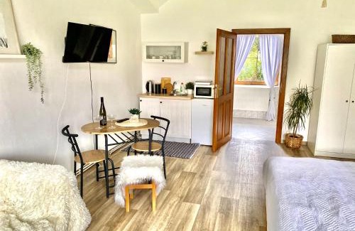 Libceves Apartment | Apartmán v koňském areálu Židovice