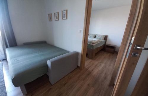 Nove Mesto nad Metuji Apartment | Apartmán Violetta