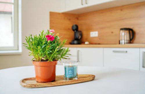 Kasperske Hory Apartment | Apartmány Kašperské Hory