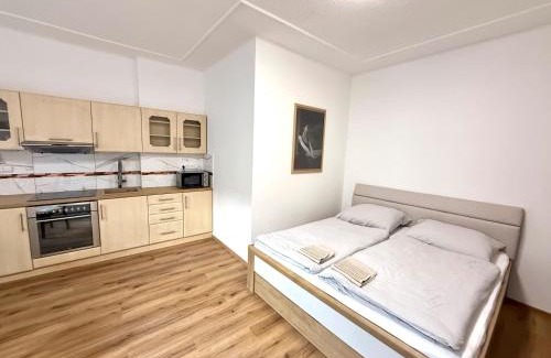 Decin Apartment | Apartmány Princ Děčín
