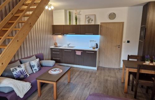Velke Losiny Apartment | Apartmány Sophia 5 a 6