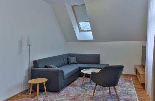 Olomouc Apartment | Apartmány U Bílé labutě