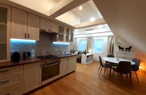Lazne Kynzvart Apartment | Apartmány v centru - Lázně Kynžvart