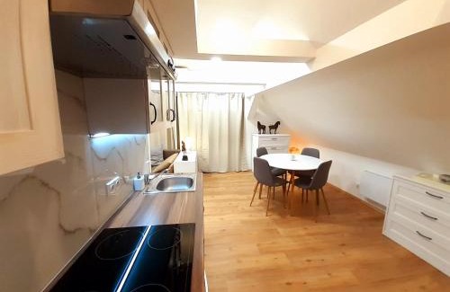 Lazne Kynzvart Apartment | Apartmány v centru - Lázně Kynžvart