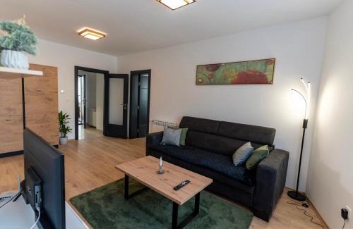 Canton 10 Apartment | Apartman Krželj B2