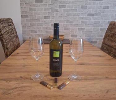 Oscadnica Apartment | Apartman s terasou