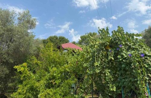 Zelenika House | Apartmani Lovorike