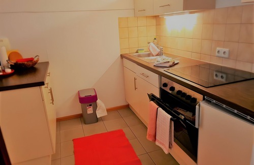 Weil am Rhein Apartment | Apartment '2' with Shared Terrace, Balcony and Wi-Fi