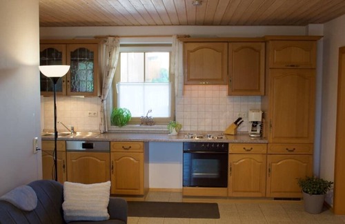 Nittenau Apartment | Apartment (53sqm) with eat-in kitchen and terrace