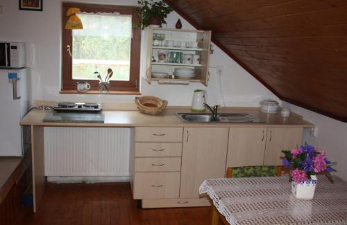 Jindrichuv Hradec Apartment | Apartment BENCI