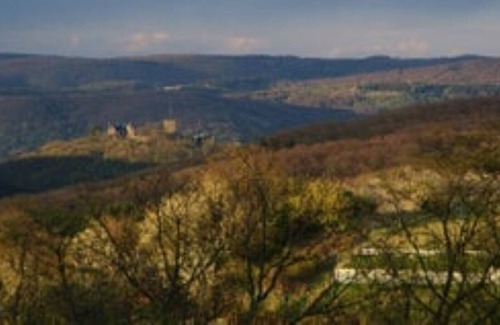 Brohl-Lutzing House | Apartment Burgblick-Vulkan