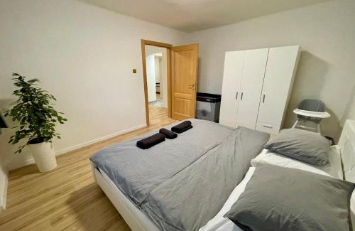 Piestany Apartment | Apartment City Park, 24H Checkin & City Centre w Free Parking