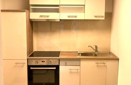 Jona House | Apartment Deluxe with Garden Rapperswil-Jona