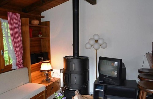Saanen Apartment | Apartment Ismene- Chalet by Interhome