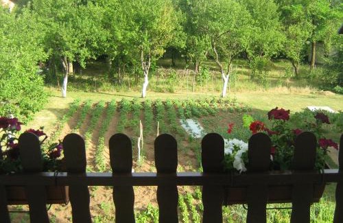 Rudanovac Apartment | Apartment Jopa