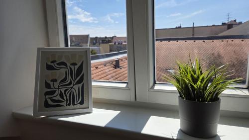 Bamberg Apartment | Apartment Lu16 Four Bamberg - modern in zentral Lage