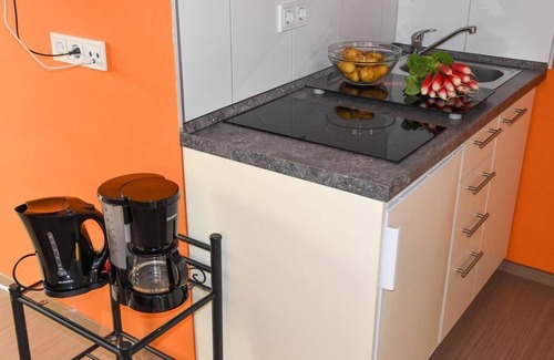 Dambach Apartment | Apartment mit Terrasse - Natalia Natur Appartements