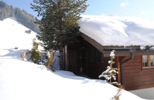 Adelboden Apartment | Apartment Nadeschda