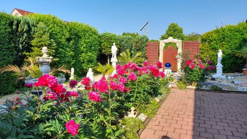 Mohrig Apartment | Apartment Natali