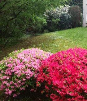 Baden-Baden Apartment | Apartment near Villa Turgenev