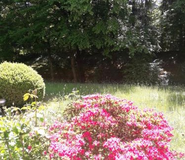 Baden-Baden Apartment | Apartment near Villa Turgenev