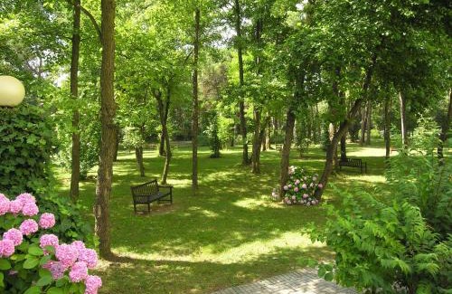 Bibione Pineda Apartment | Apartment Pine Wood
