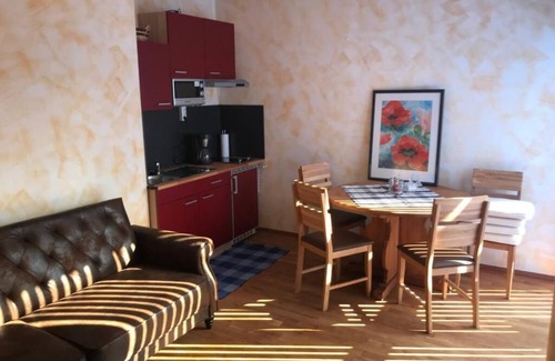 Auerbach Apartment | Apartment Rita with sauna and terrace