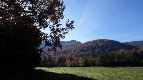 Bily Potok Apartment | Apartment Rychtrovna