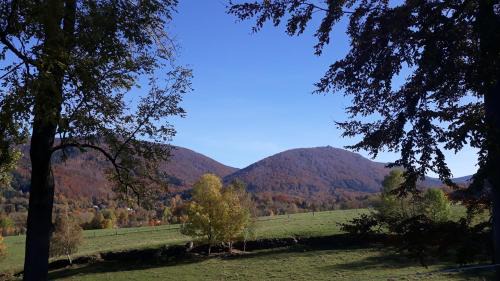 Bily Potok Apartment | Apartment Rychtrovna