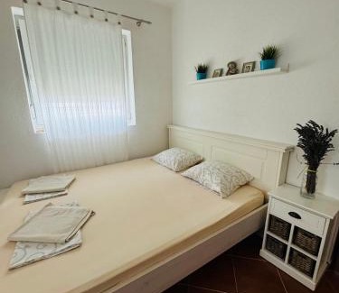Zeljeznica Apartment | Apartment Topolica