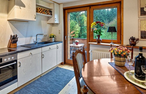 Feldatal Apartment | Apartment 'Wohnung Mit Kaminofen Im Vogelsberg' with Balcony and Wi-Fi