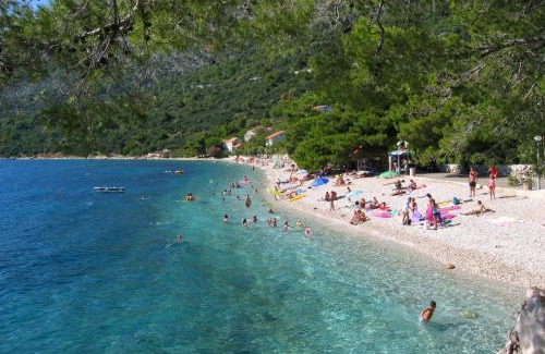 Zivogosce Apartment | Apartment Zivogosce - Porat 13853c