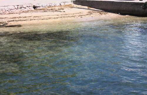Rab Apartment | Apartments by the sea Barbat, Rab - 22366