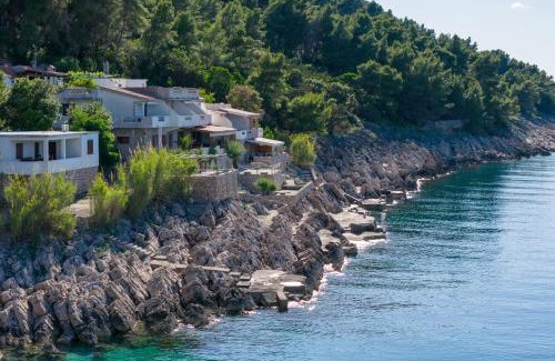 Bogomolje Apartment | Apartments by the sea Cove Solotisa, Hvar - 5610