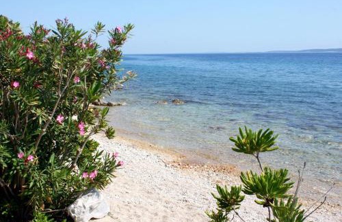 Mandre Apartment | Apartments by the sea Mandre, Pag - 22885