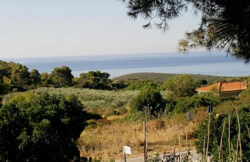 Rukavac Apartment | Apartments Elena & Damir